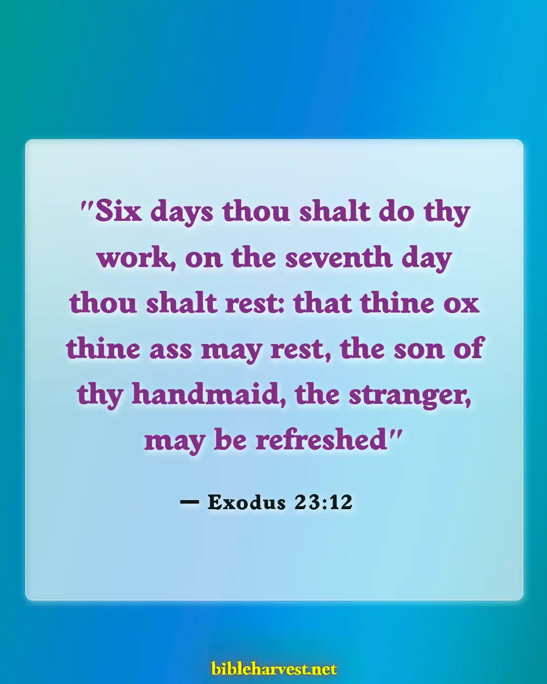 Bible Verses About Retirement (Exodus 23:12)