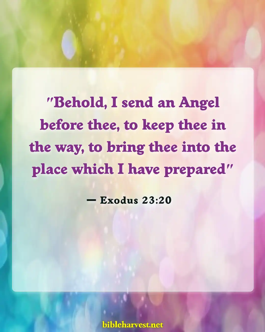 Bible Verses About God Of Angel Armies (Exodus 23:20)