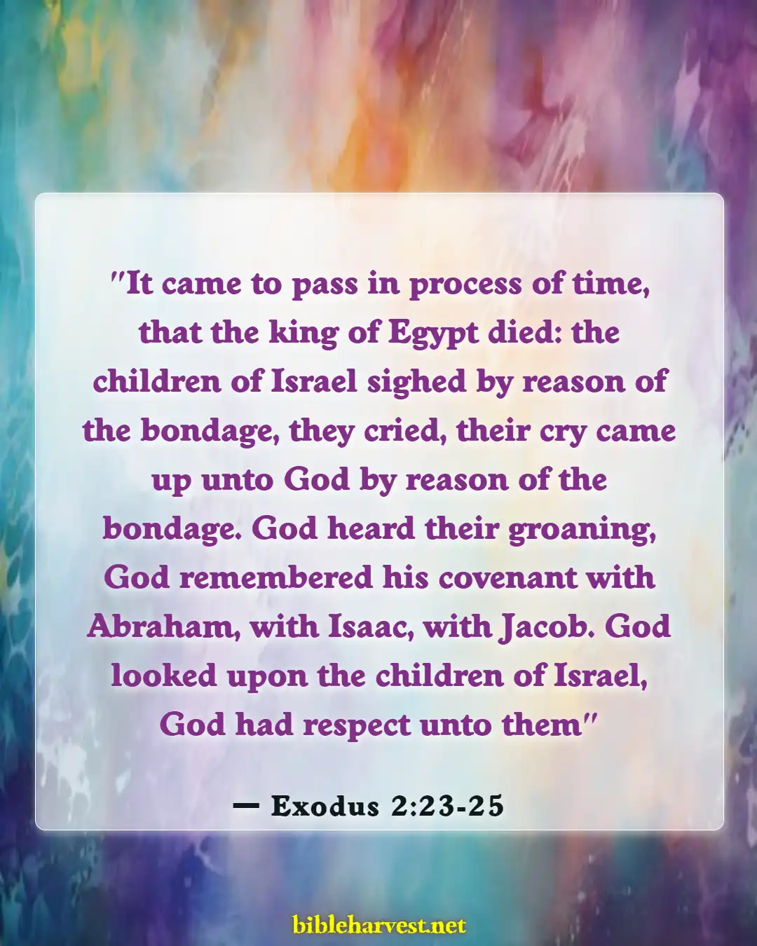 Bible Verses About Patience And God's Timing (Exodus 2:23-25)