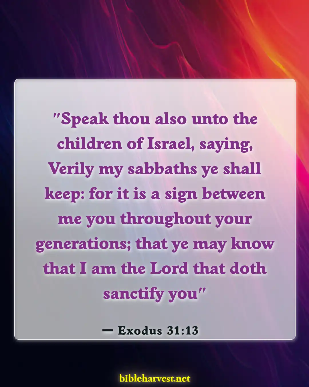 Bible Verses About Pursue Holiness (Exodus 31:13)