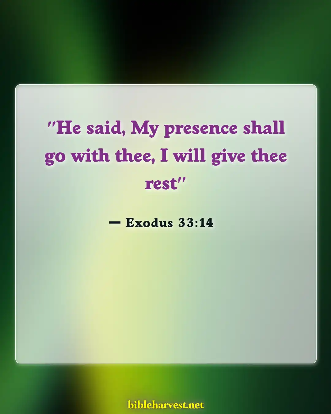 Bible Verses About Peace In The Presence Of God (Exodus 33:14)