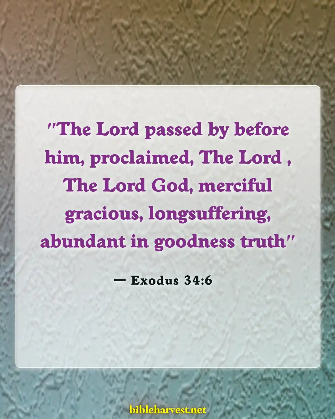 Bible Verses About God Is Good All The Times (Exodus 34:6)