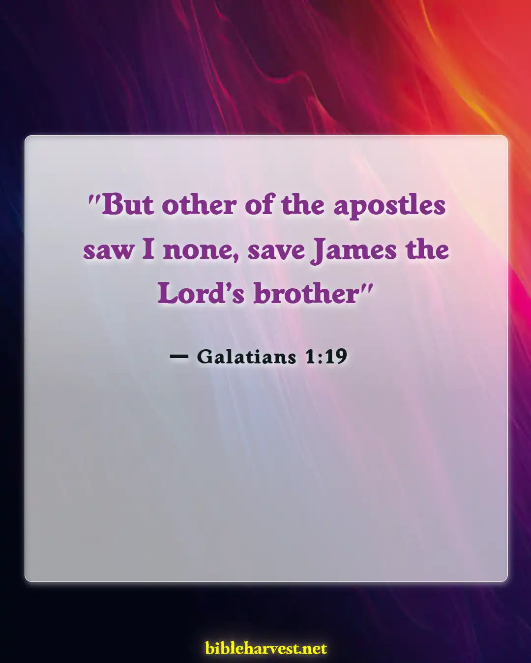 Bible Verses About Jesus Brothers And Sisters (Galatians 1:19)
