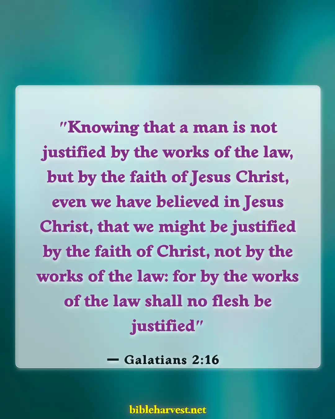 Bible Verses About Righteousness (Galatians 2:16)