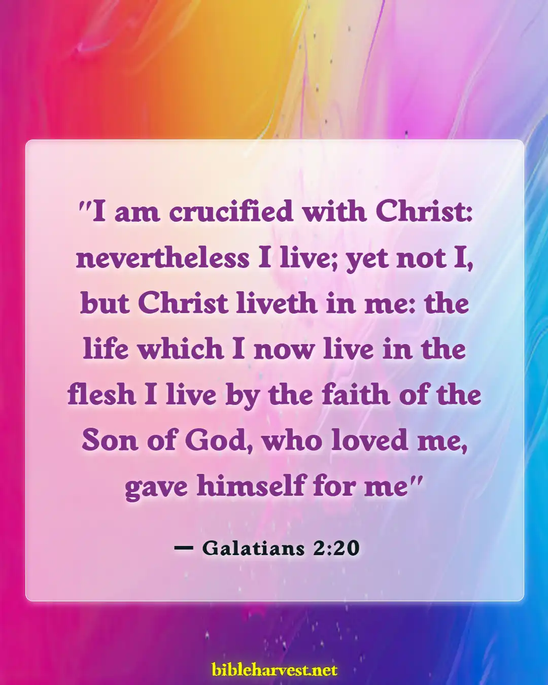 Bible Verses About Acceptance (Galatians 2:20)
