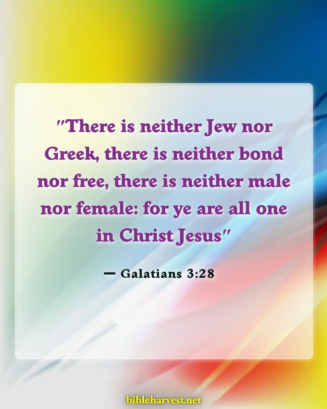 Bible Verses About Acceptance (Galatians 3:28)