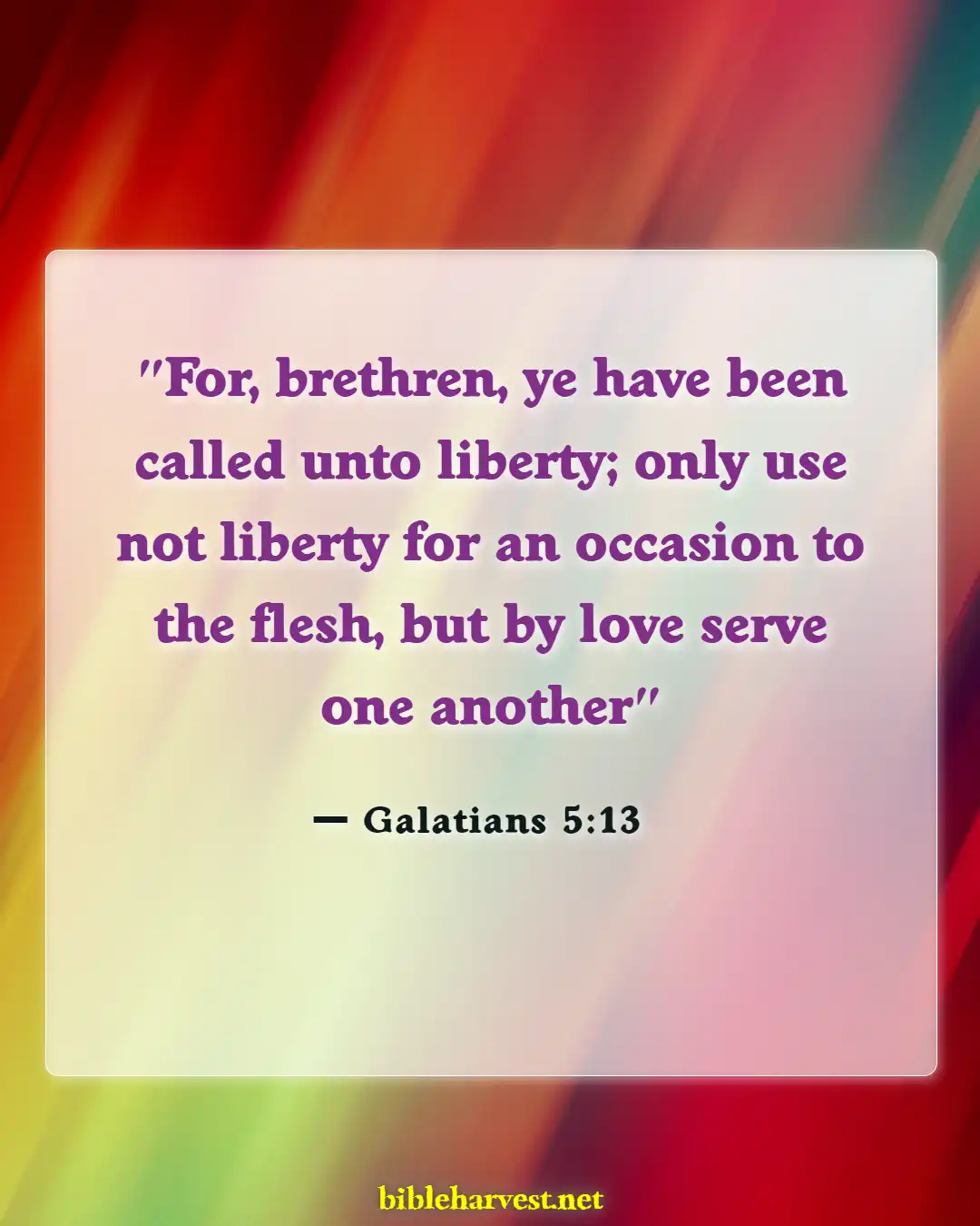 Bible Verses About Accomplishments (Galatians 5:13)