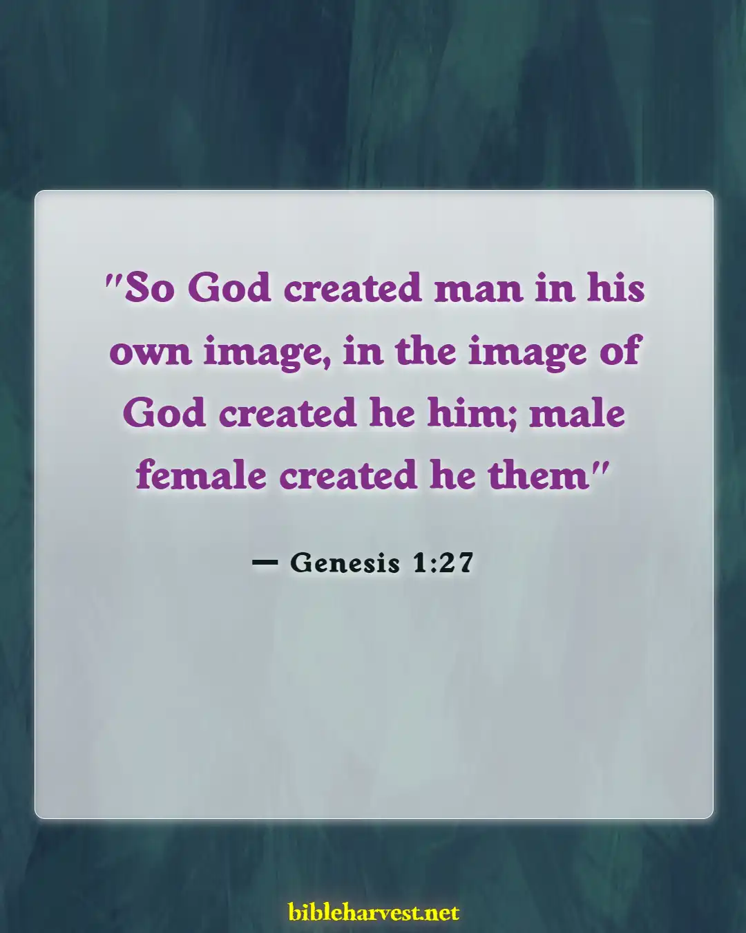 Bible Verses About You Are Valuable To God (Genesis 1:27)