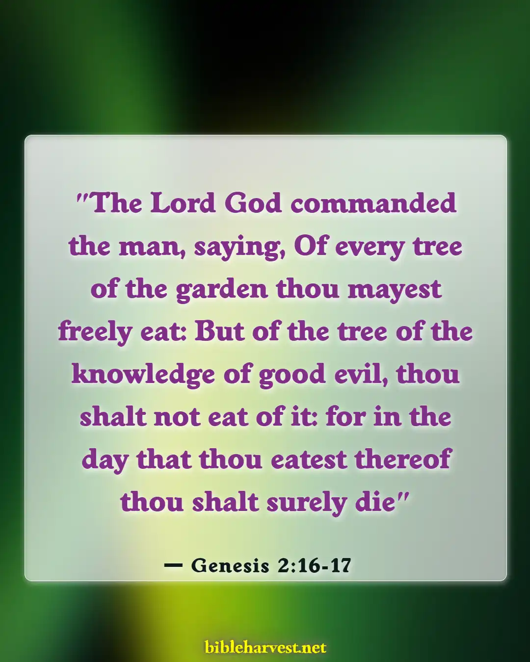 Bible Verses About God Does Not Force Himself On Anyone (Genesis 2:16-17)