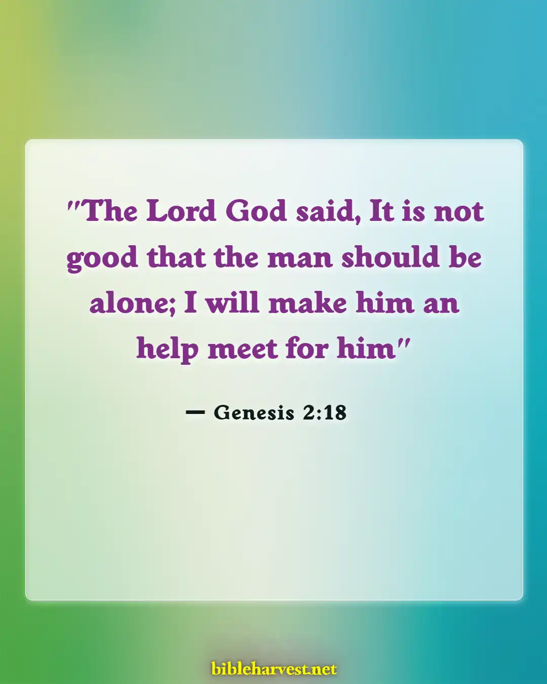 Bible Verses About Waiting For The Right Person (Genesis 2:18)