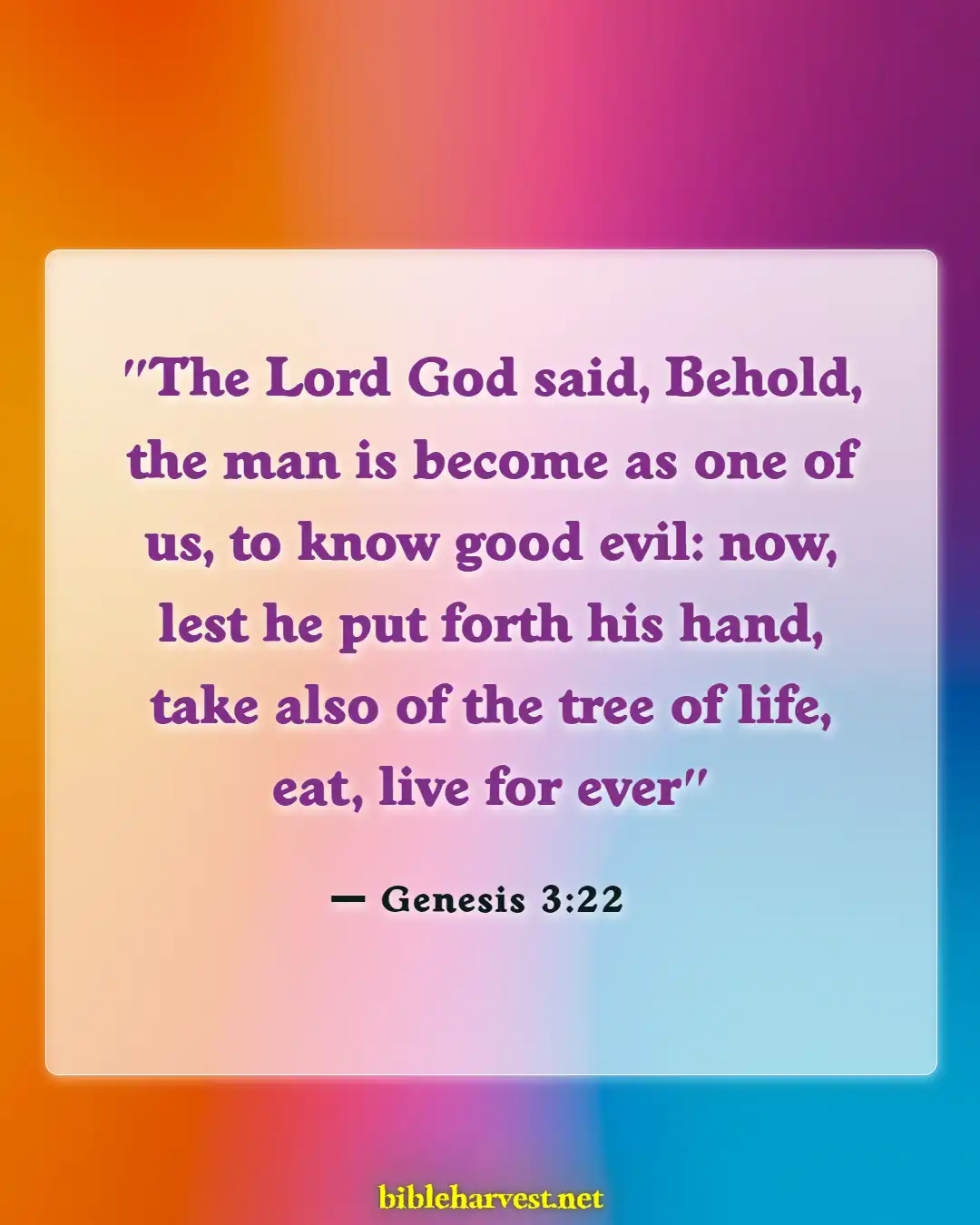 Bible Verses About Trees (Genesis 3:22)