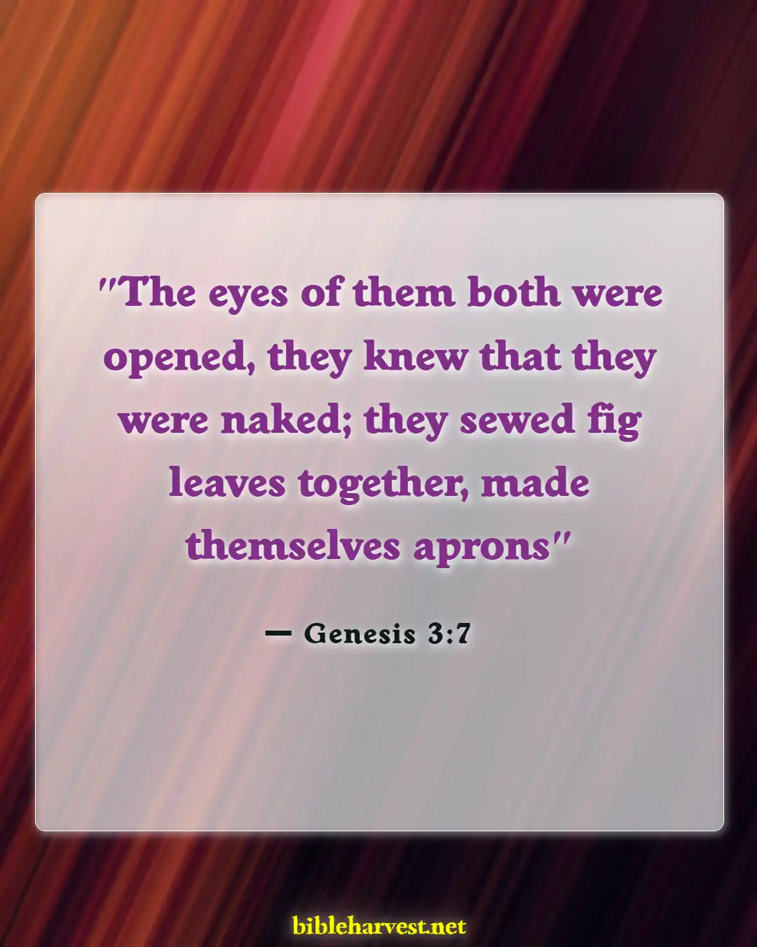 Bible Verses About Exposing Your Body (Genesis 3:7)