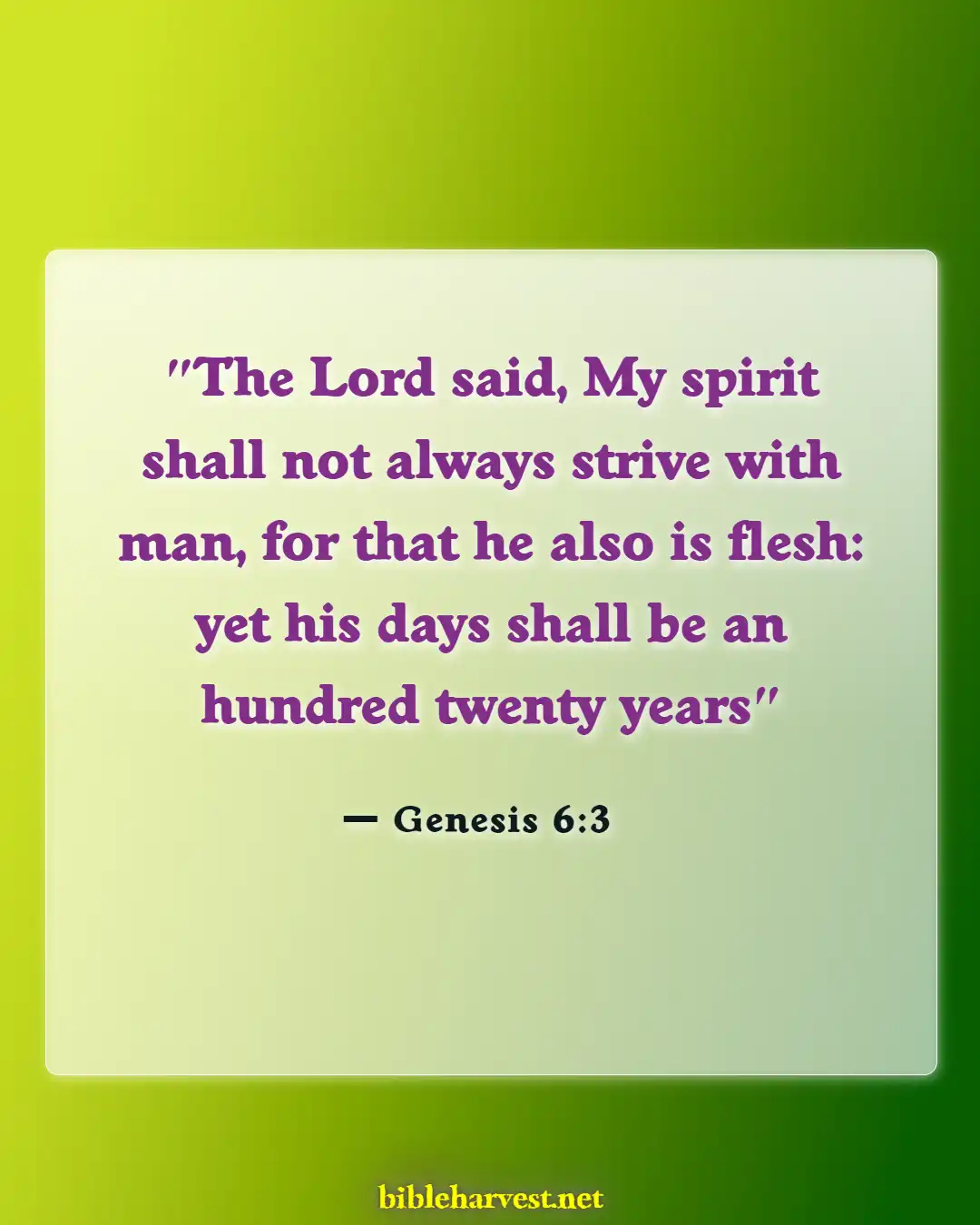 Bible Verses About Warning Before Destruction (Genesis 6:3)