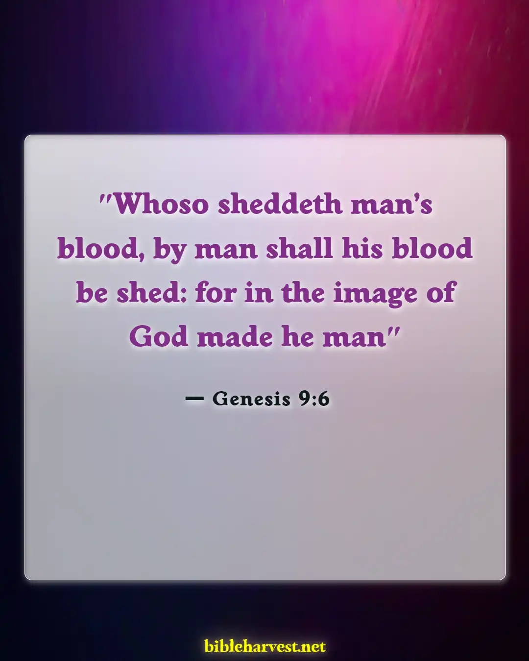 Bible Verses About Murdering The Innocent (Genesis 9:6)