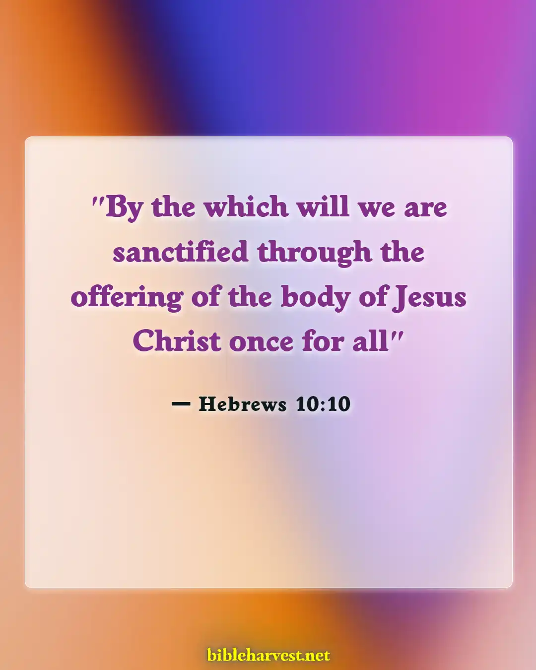 Bible Verses About Sacrifice (Hebrews 10:10)