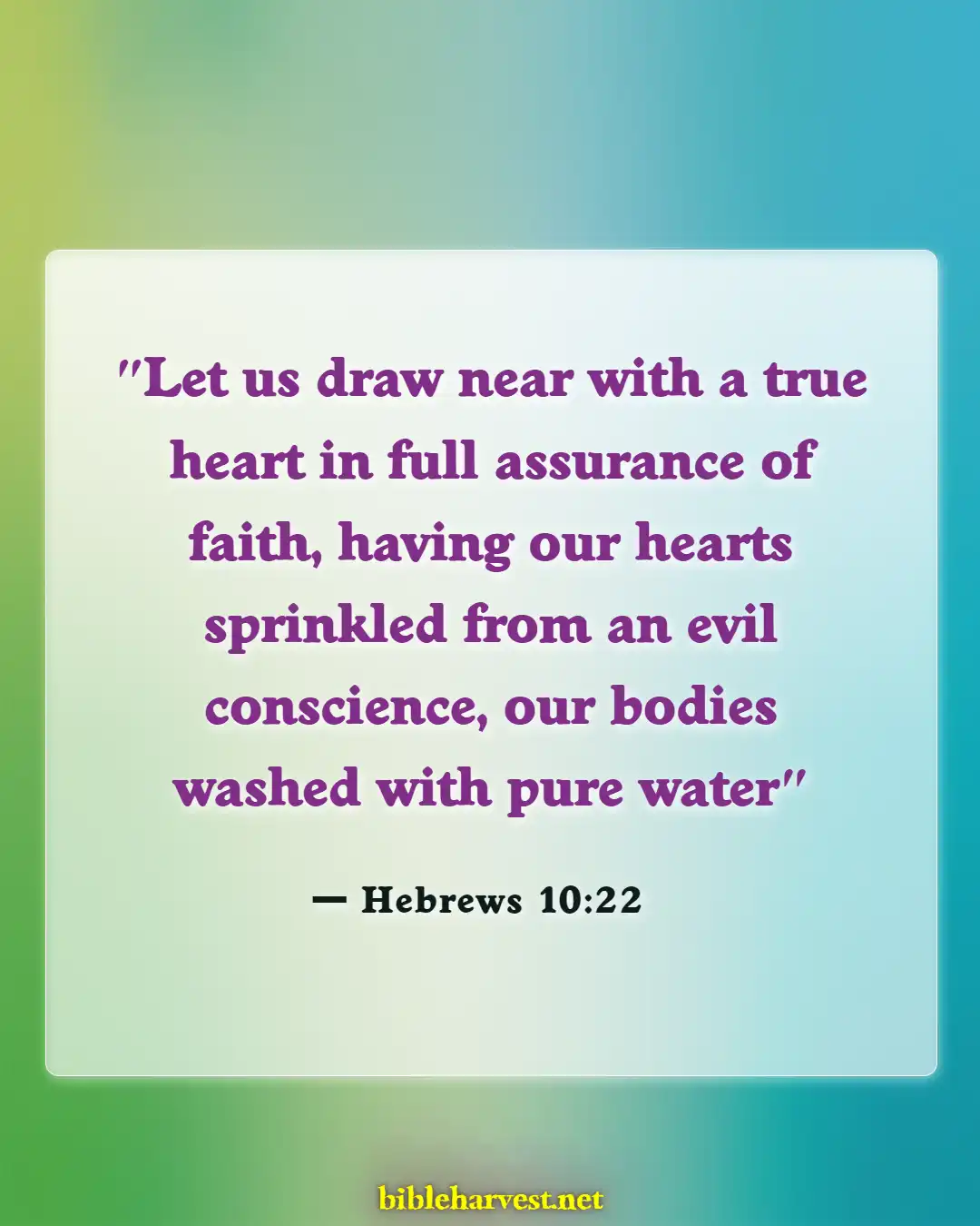 Bible Verses About Confessing Sins (Hebrews 10:22)