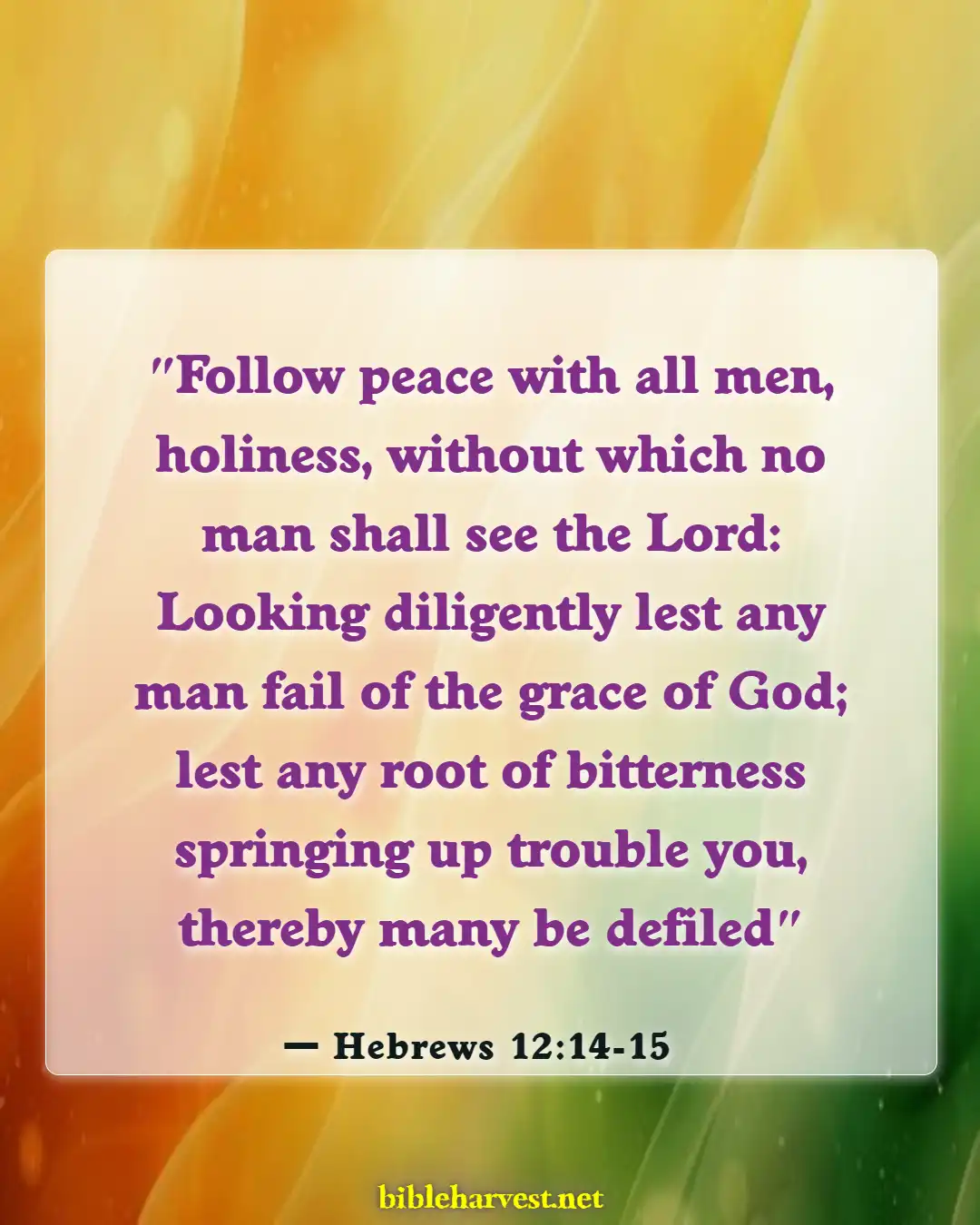 Bible Verses About Be Angry But Do Not Sin (Hebrews 12:14-15)