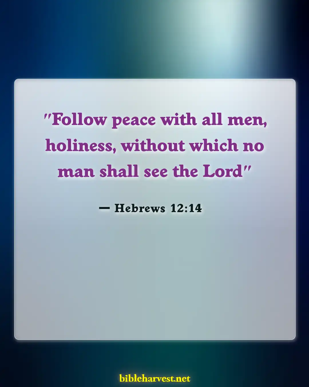 Bible Verses About Going To Heaven (Hebrews 12:14)