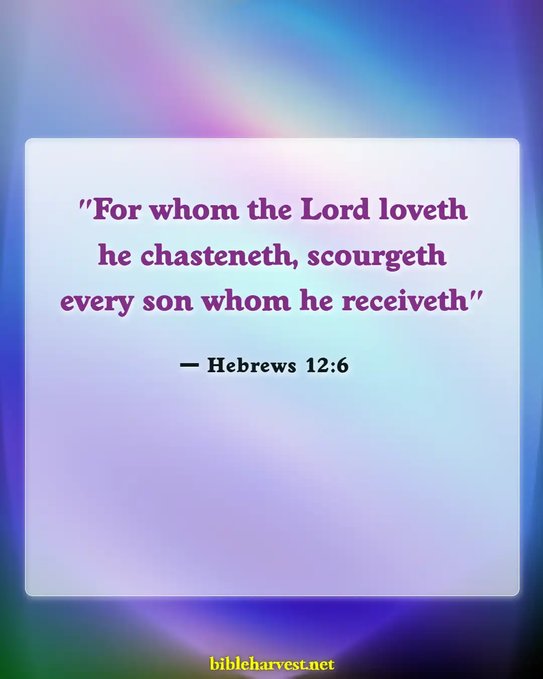 Bible Verses About Teaching Children (Hebrews 12:6)