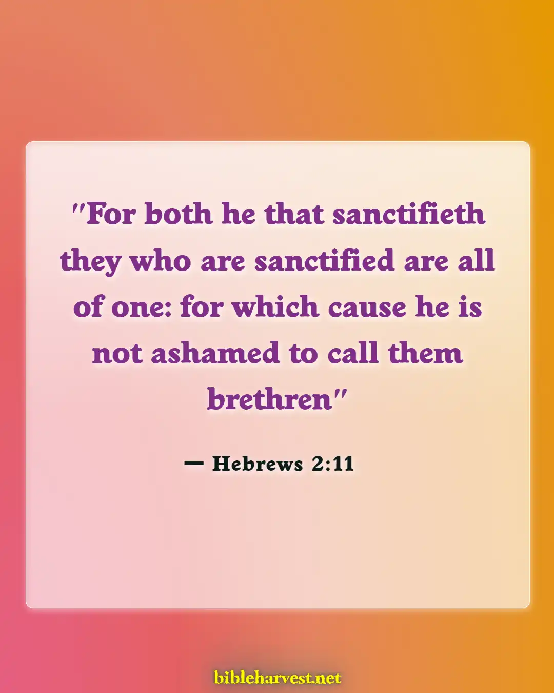 Bible Verses About Blessed Are The Peacemakers (Hebrews 2:11)