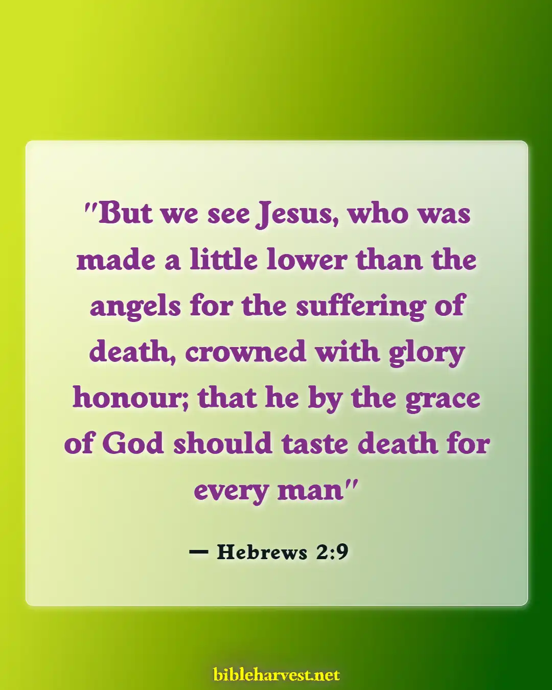 Bible Verses About Against Predestination (Hebrews 2:9)