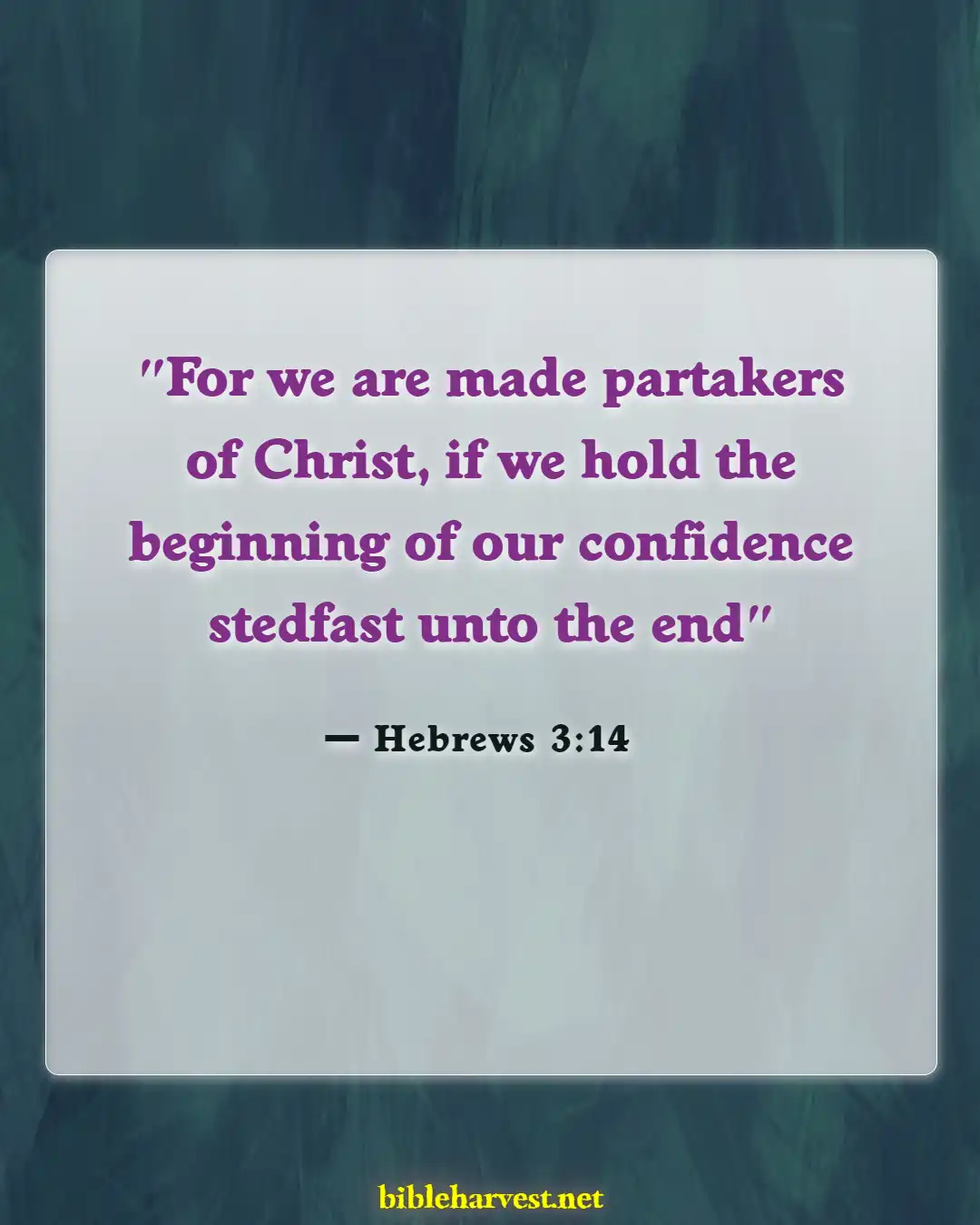 Bible Verses About Commitment To Serve God (Hebrews 3:14)