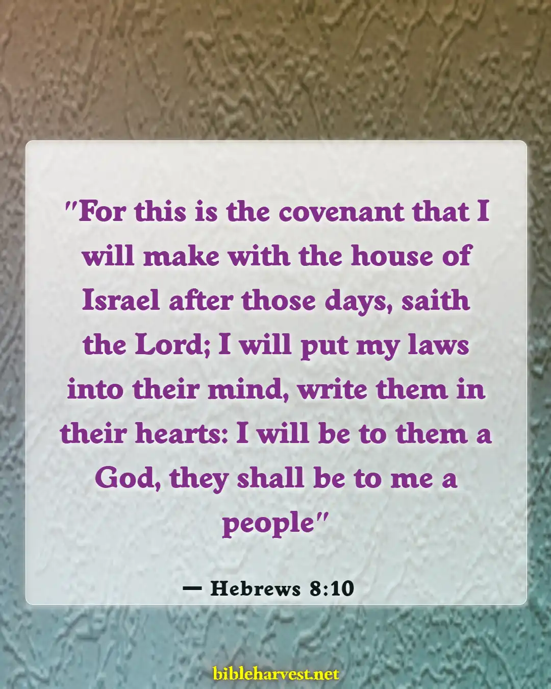 Bible Verses About Heart Touchings (Hebrews 8:10)