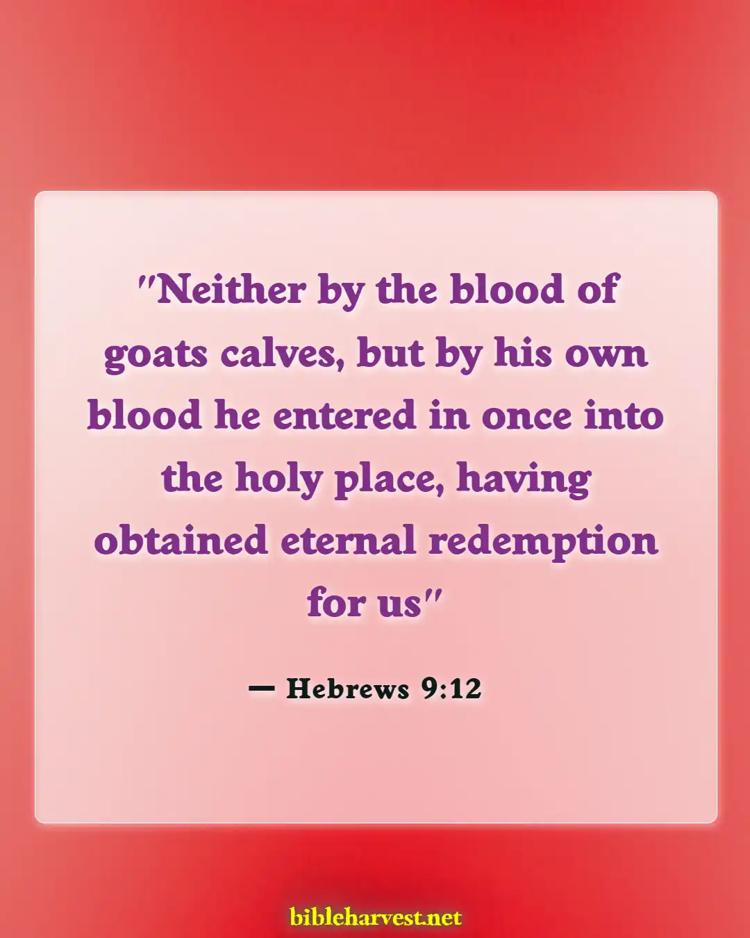 Bible Verses About Cross (Hebrews 9:12)