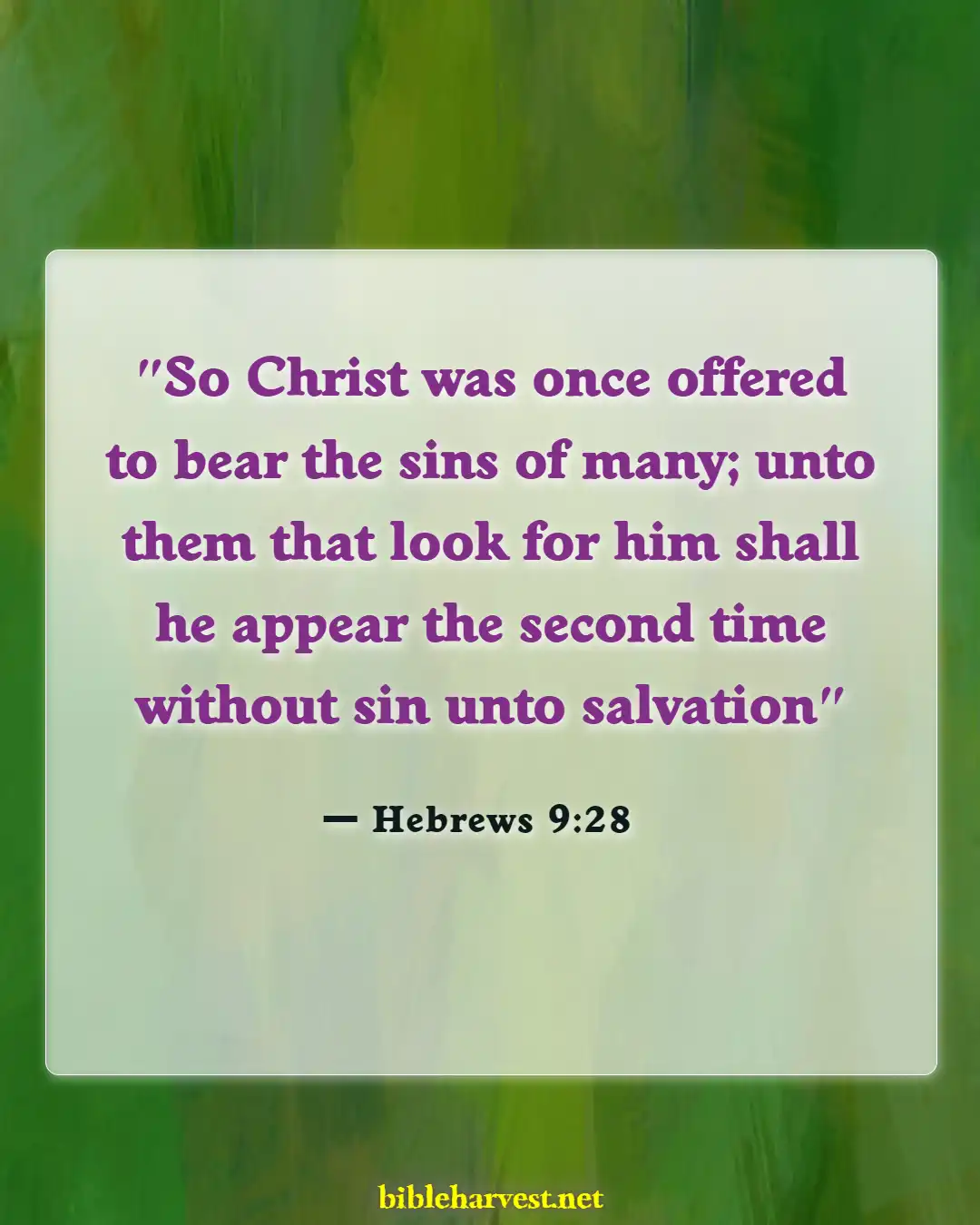 Bible Verses About Jesus Crucifieds (Hebrews 9:28)