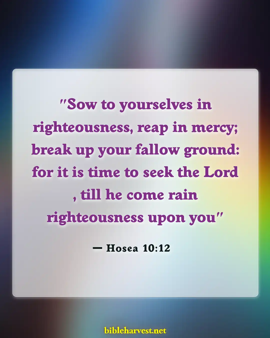 Bible Verses About Seeking God (Hosea 10:12)
