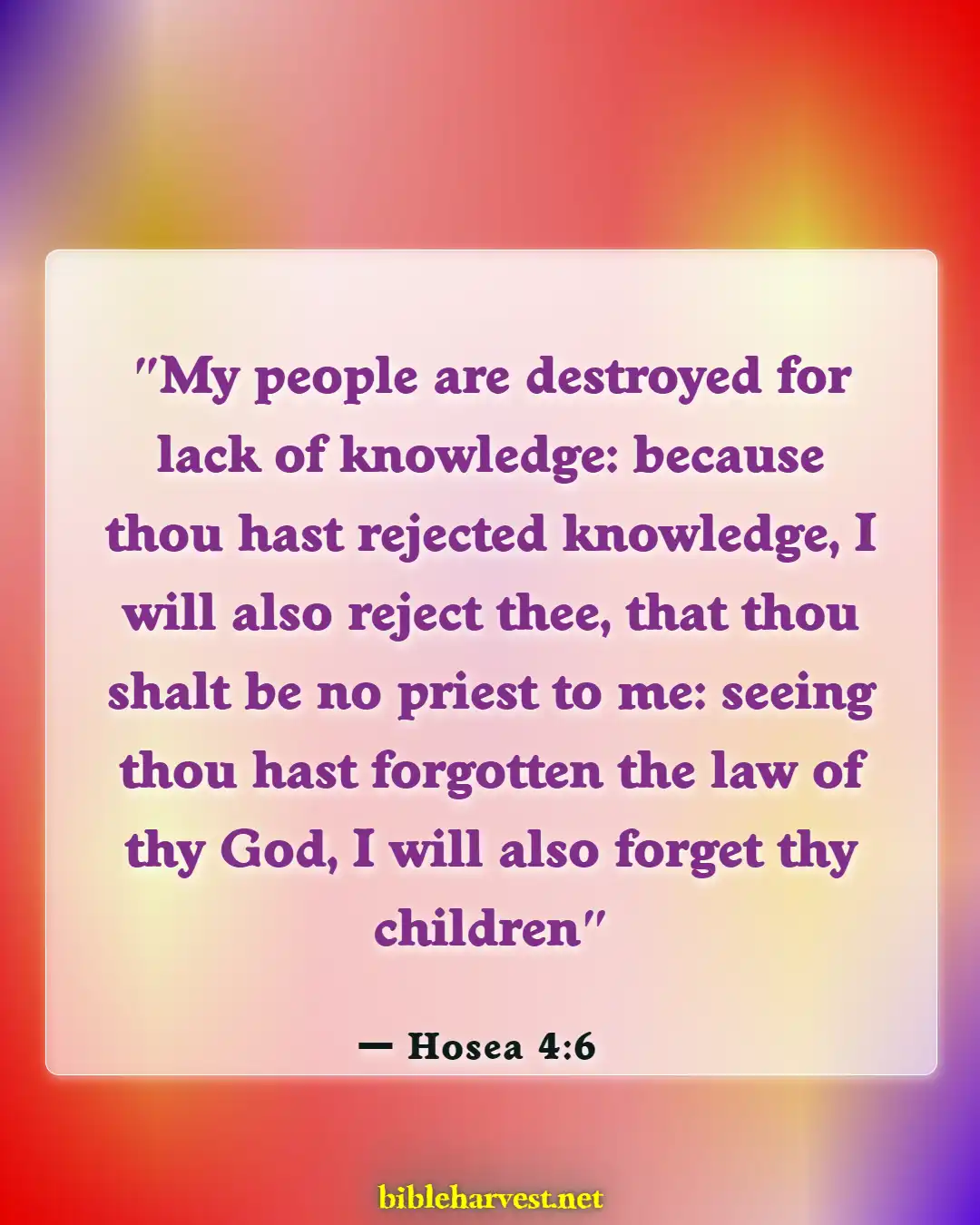 Bible Verses About Too Much Knowledge Is Dangerous (Hosea 4:6)