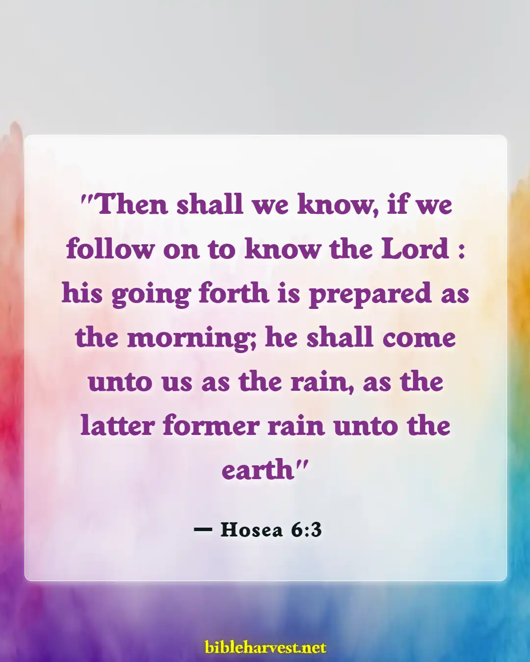Bible Verses About Knowing God (Hosea 6:3)