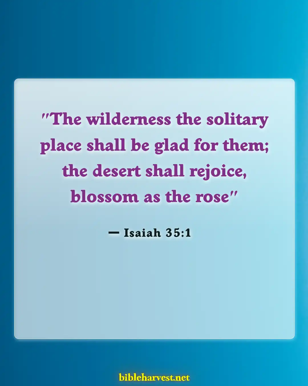 Bible Verses About Flowers Blooming (Isaiah 35:1)