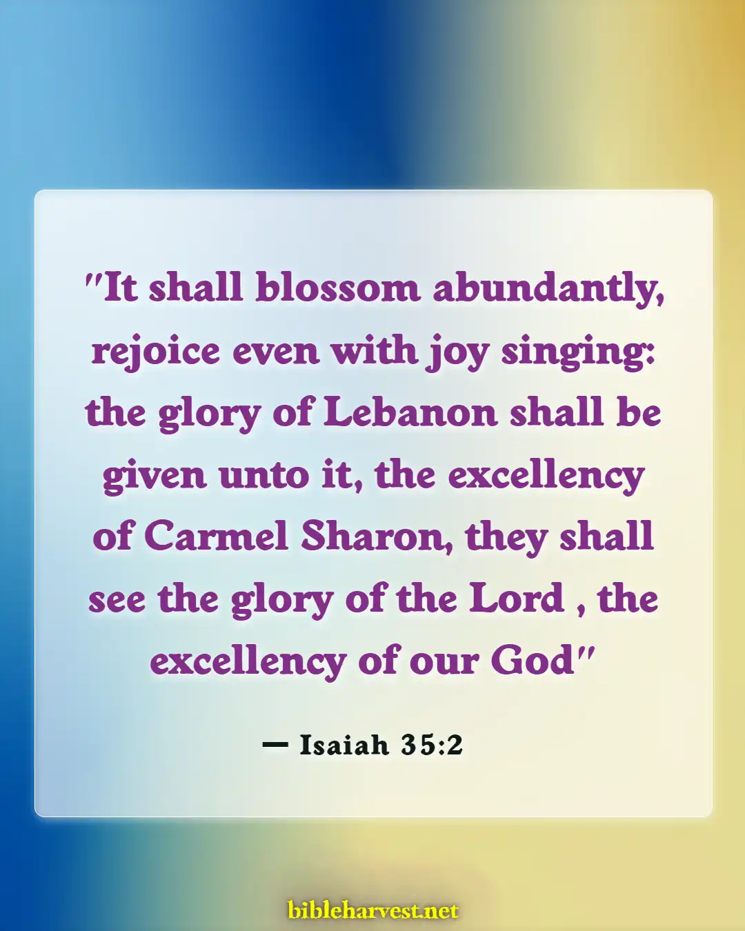Bible Verses About Flowers Blooming (Isaiah 35:2)