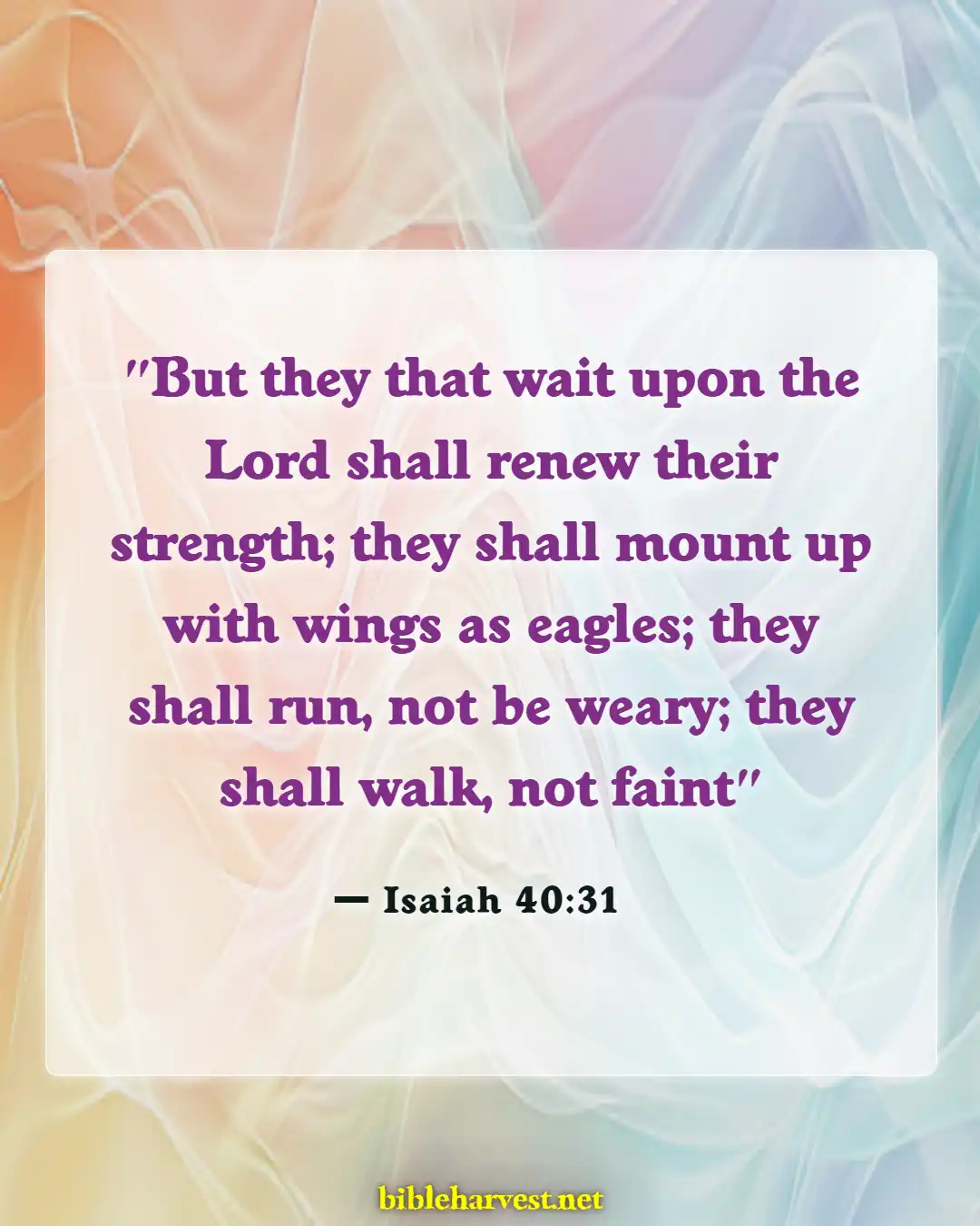 Bible Verses About Adoption (Isaiah 40:31)