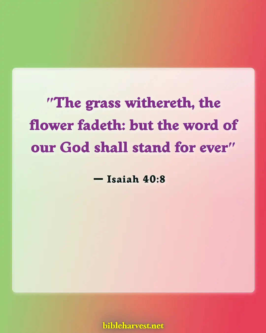 Bible Verses About Importantss (Isaiah 40:8)