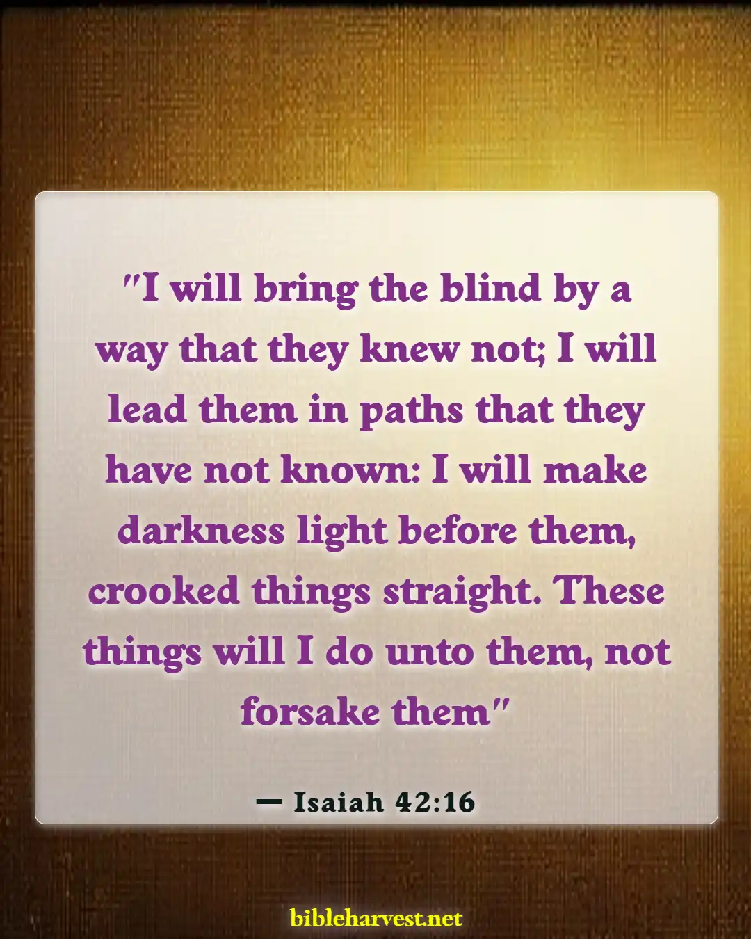 Bible Verses About God Will Never Leave You (Isaiah 42:16)