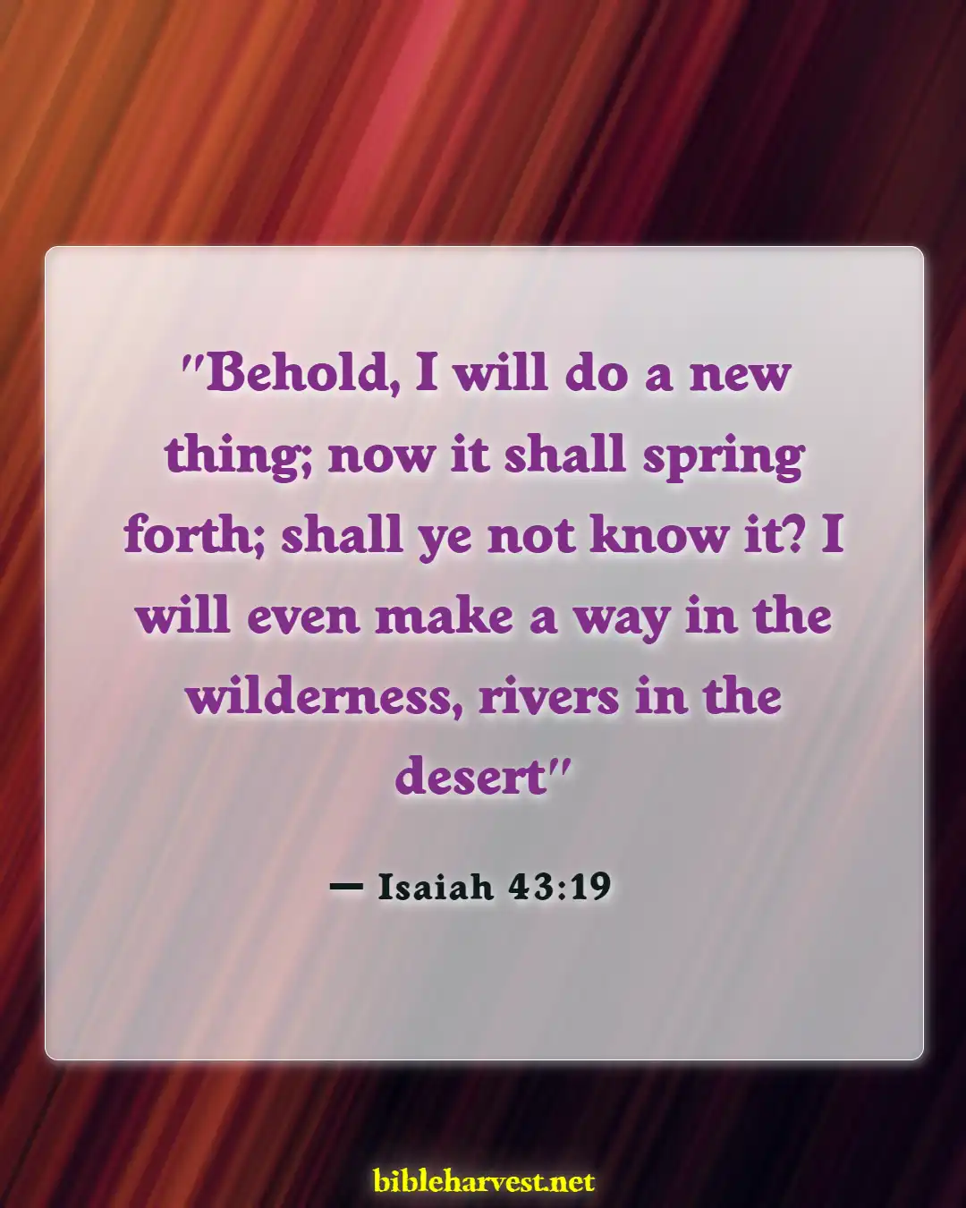Bible Verses About God Will Make A Way (Isaiah 43:19)