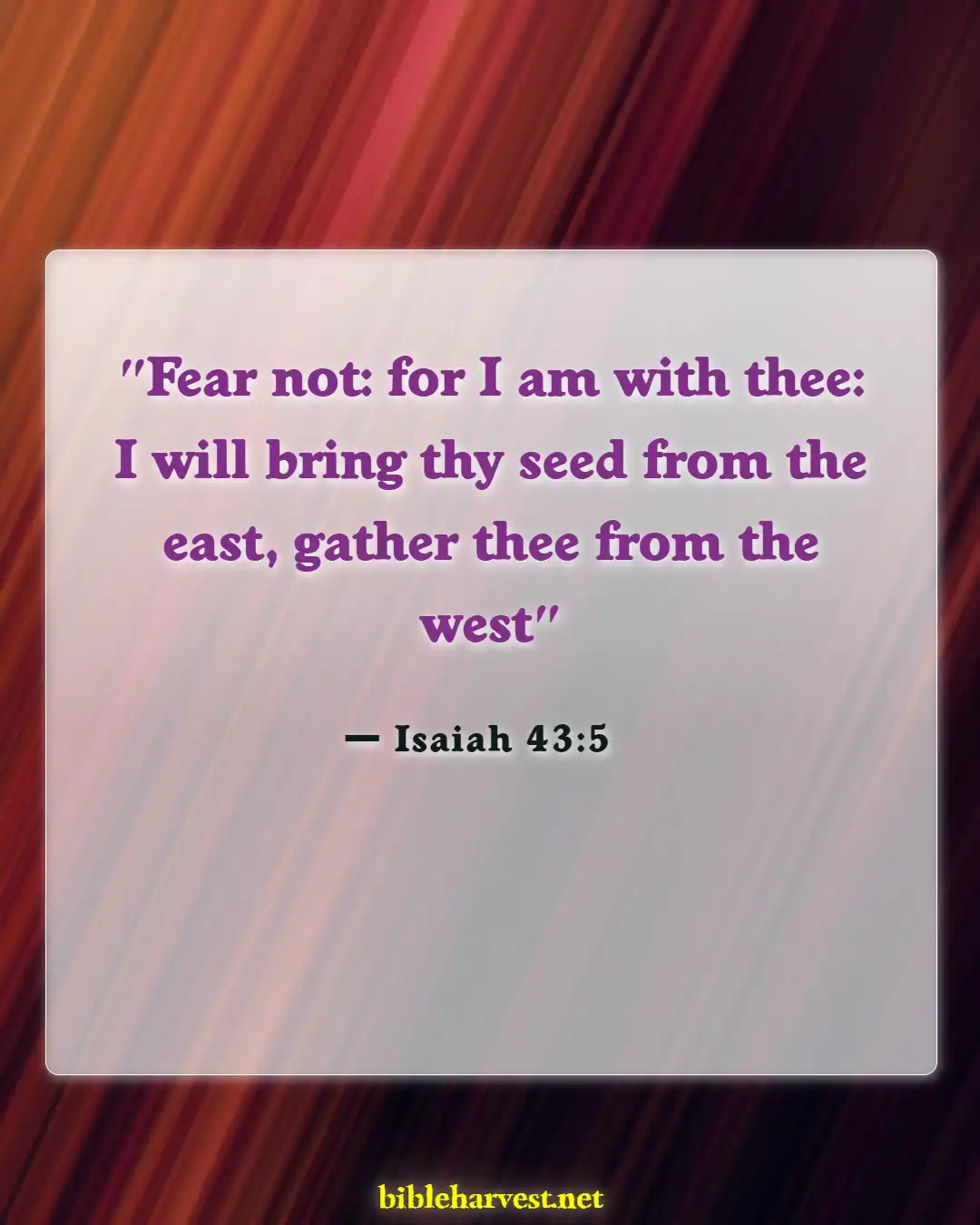 Bible Verses About God Will Never Leave You (Isaiah 43:5)