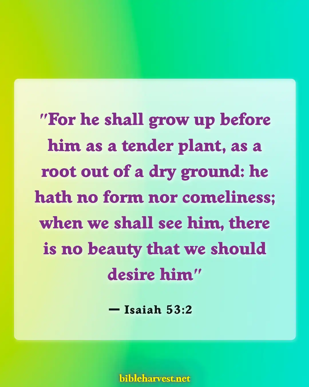 Bible Verses About Short (Isaiah 53:2)