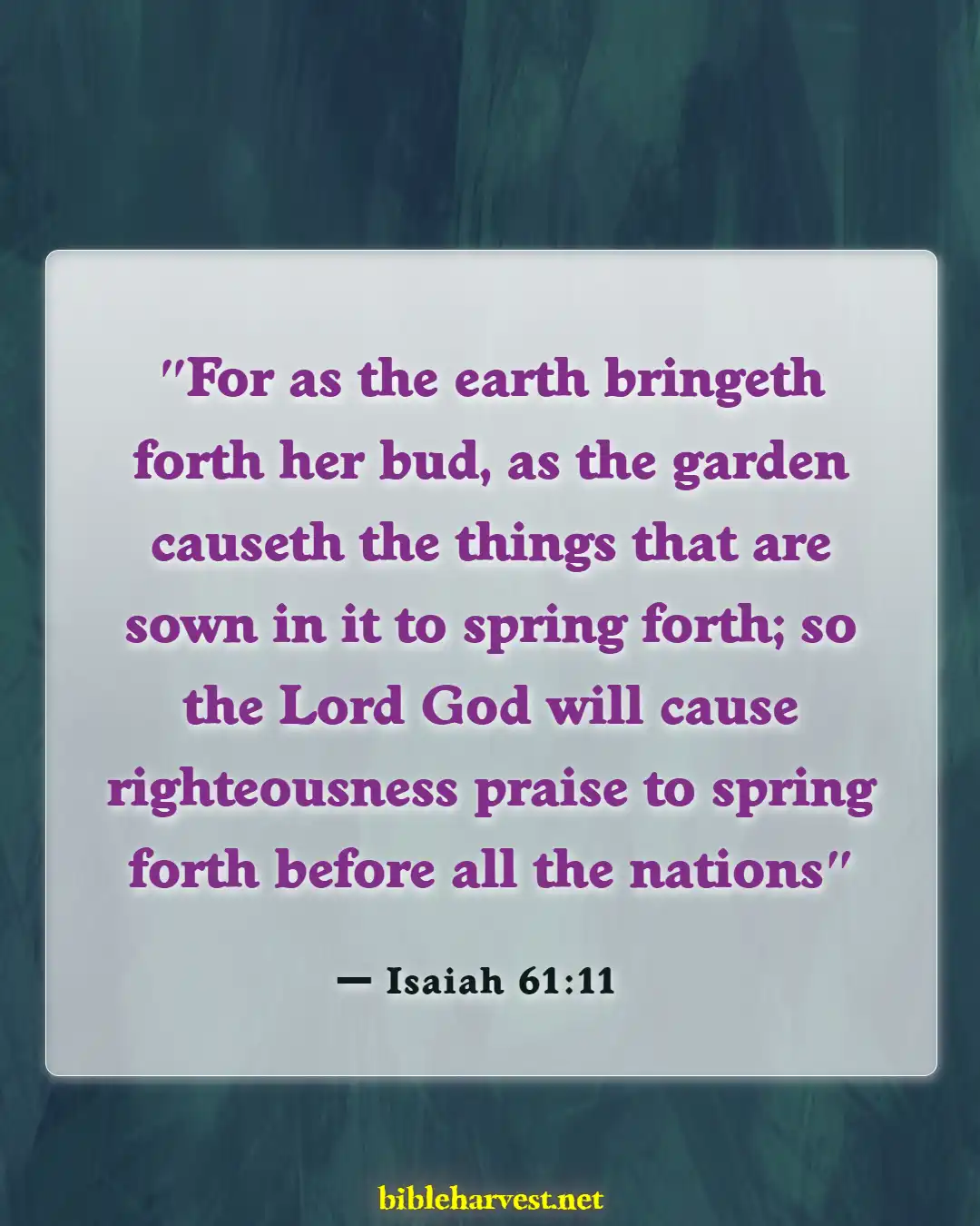 Bible Verses About Flowers Blooming (Isaiah 61:11)