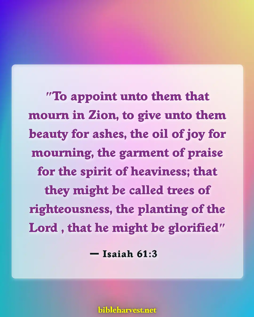 Bible Verses About Praise And Worships (Isaiah 61:3)
