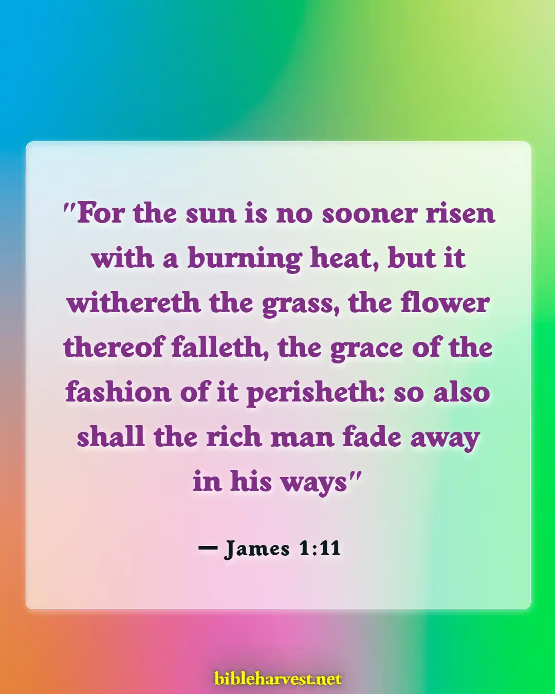 Bible Verses About Flowers Blooming (James 1:11)