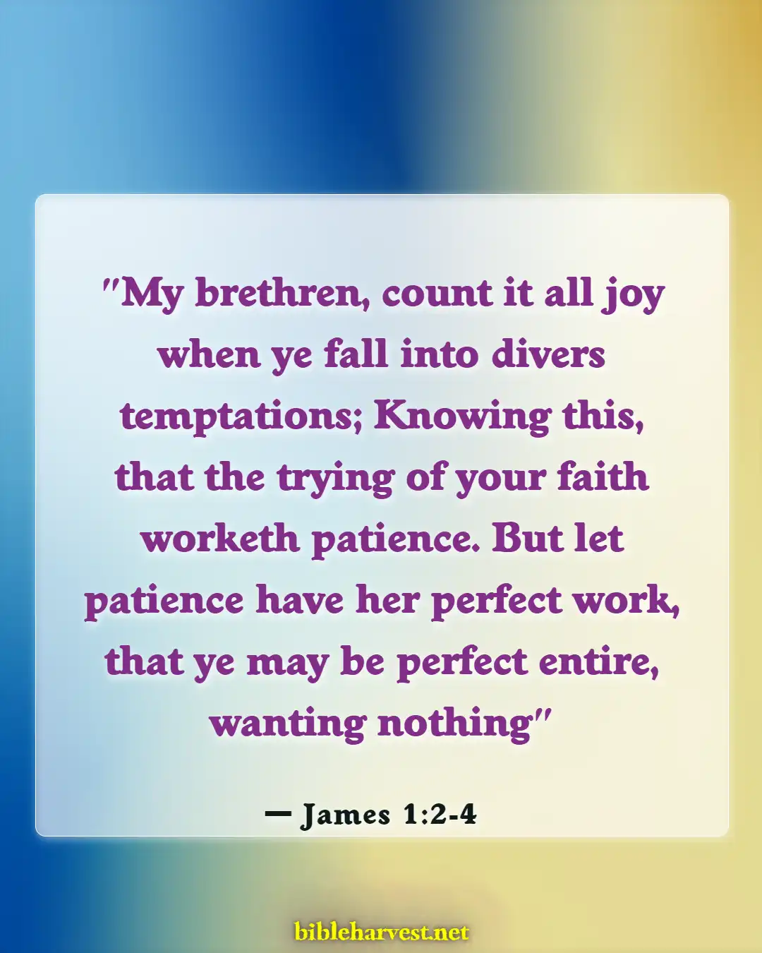 Bible Verses About Hope For The Future (James 1:2-4)