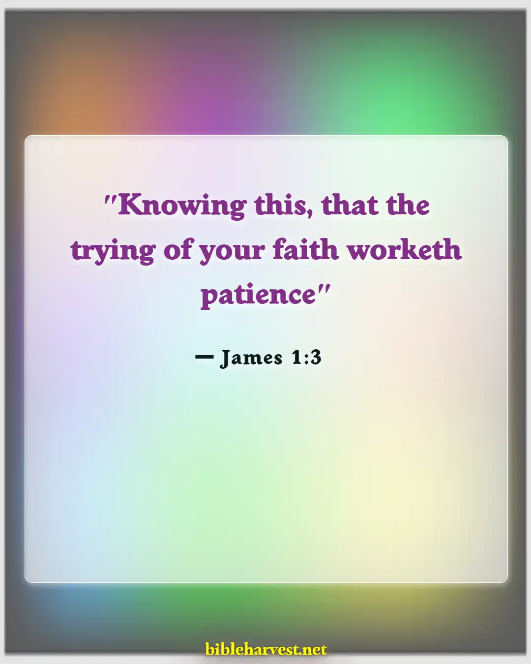 Bible Verses About Pain And Suffering (James 1:3)