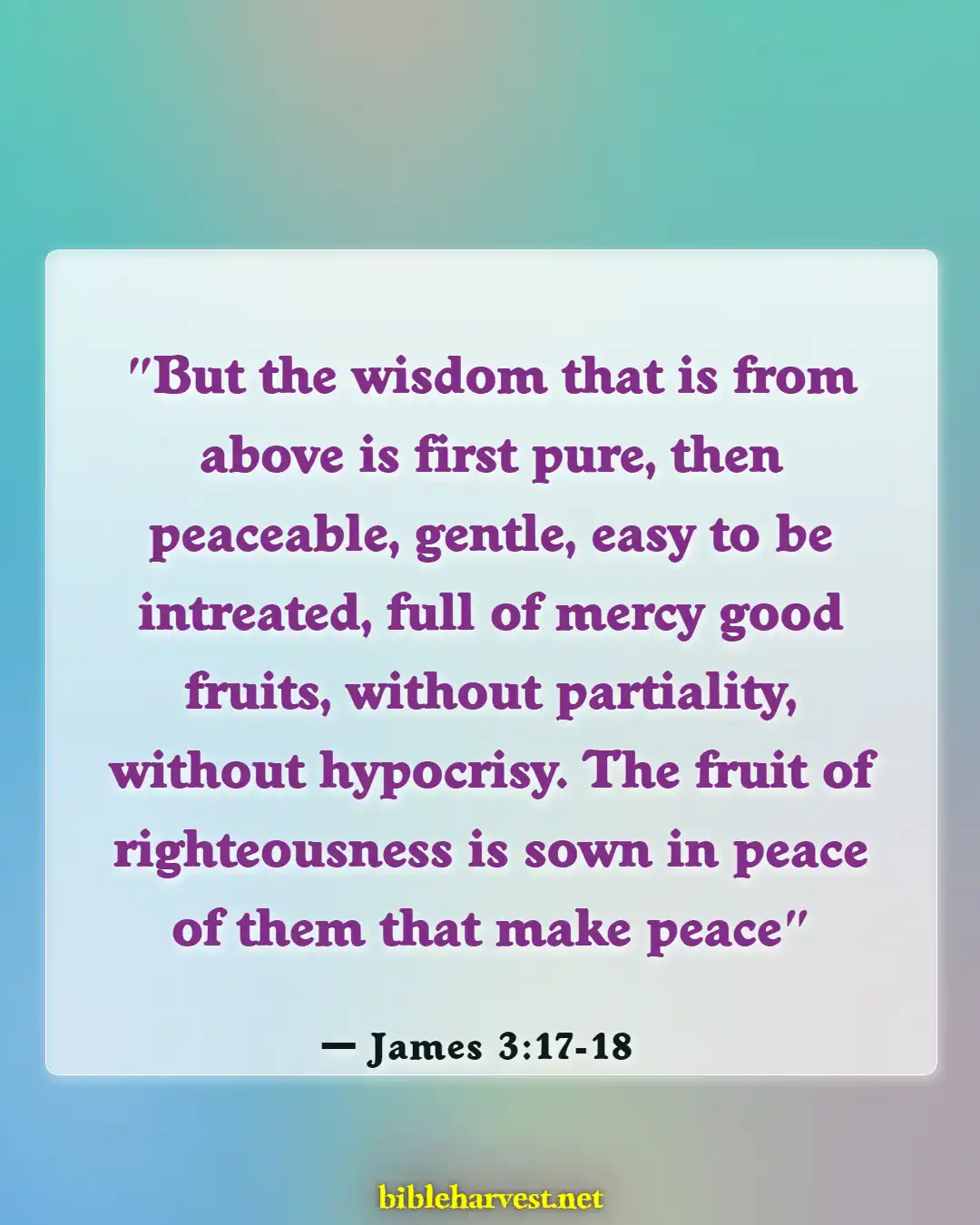 Bible Verses About Do Not Argue With A Fool (James 3:17-18)