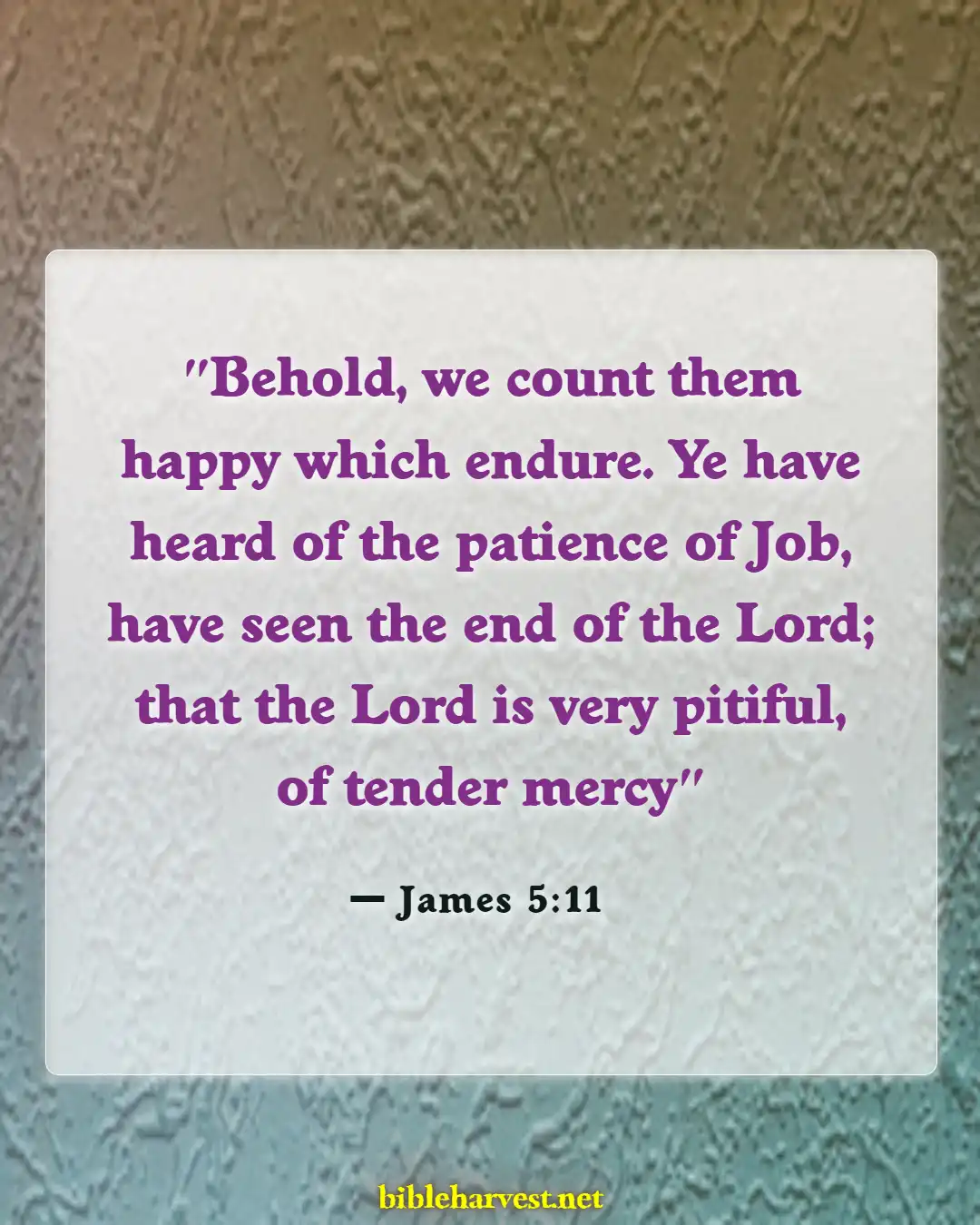 Bible Verses About Patience And Perseverance (James 5:11)