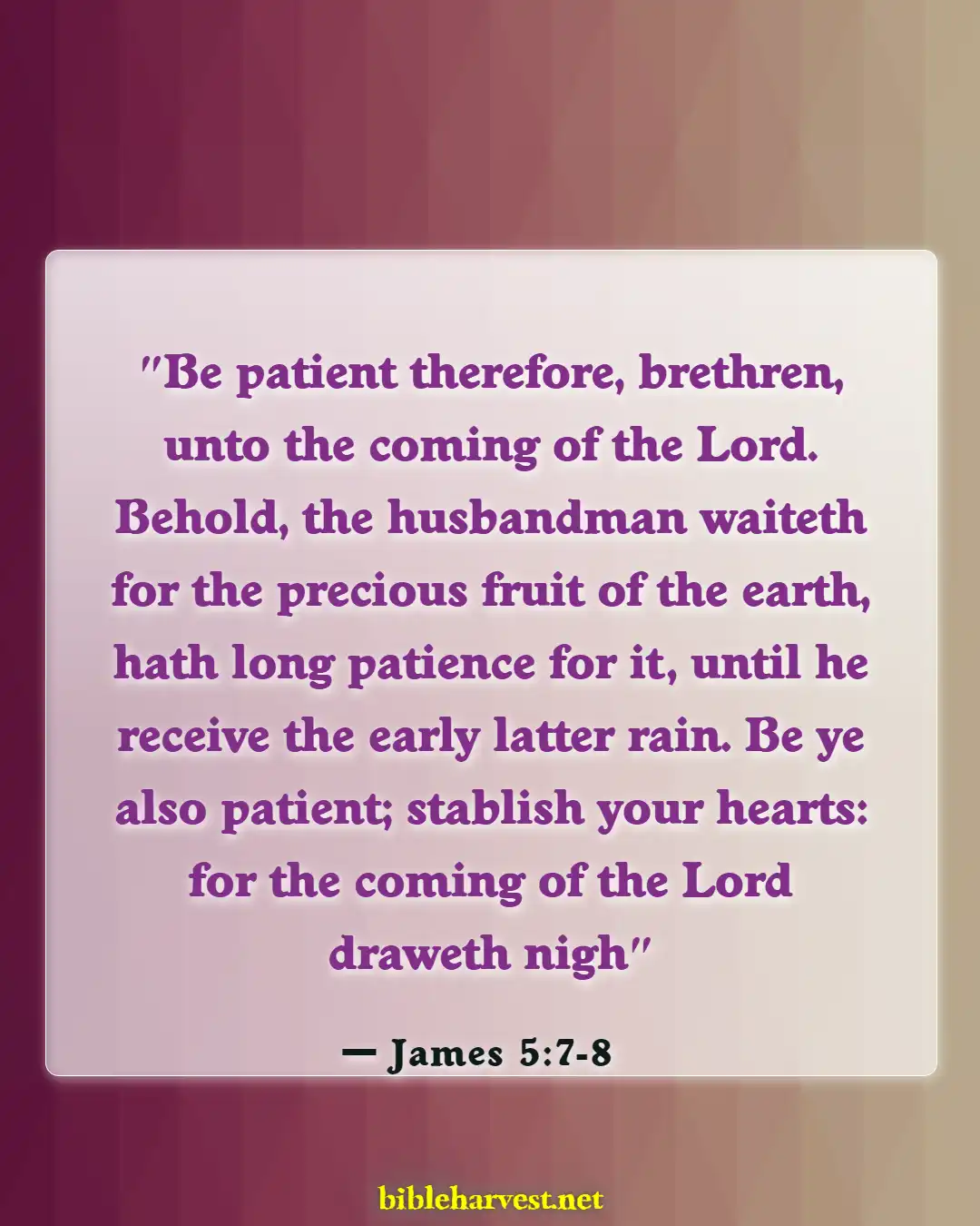 Bible Verses About God's Timing (James 5:7-8)