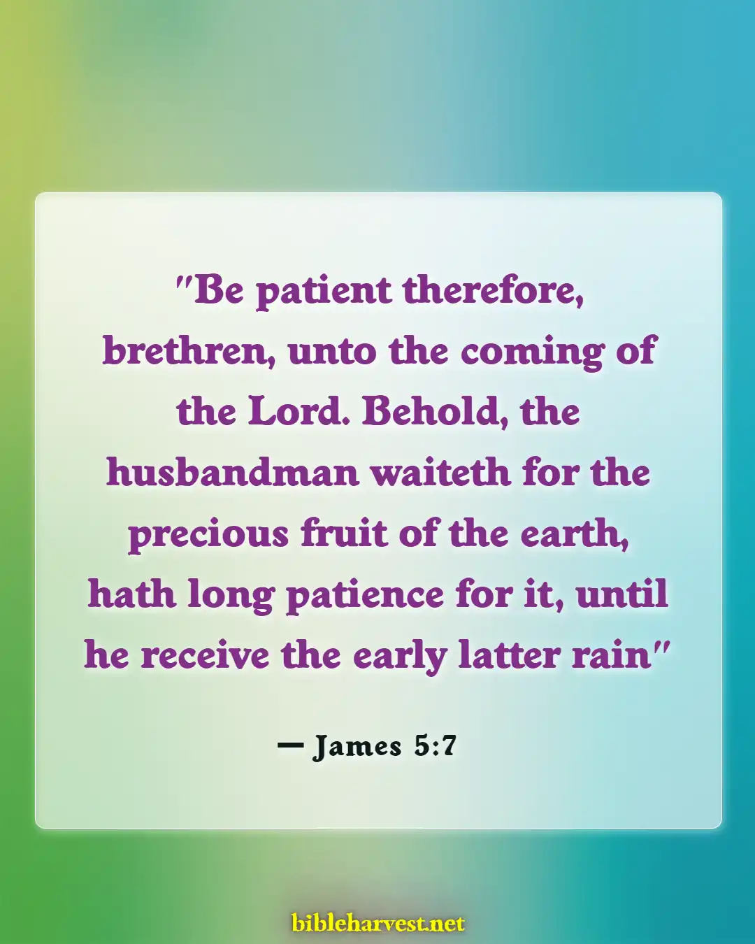 Bible Verses About Waiting On Jesus (James 5:7)