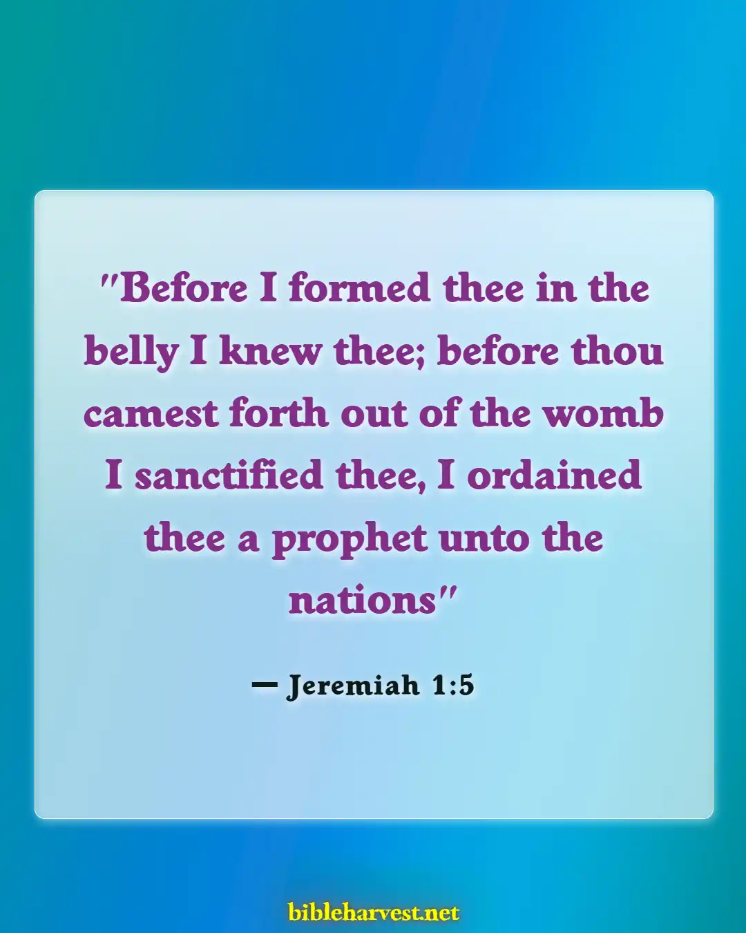 Bible Verses About Commitment To Ministry (Jeremiah 1:5)